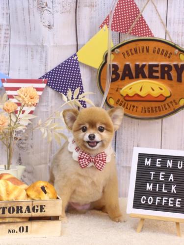 20240919のんちゃん